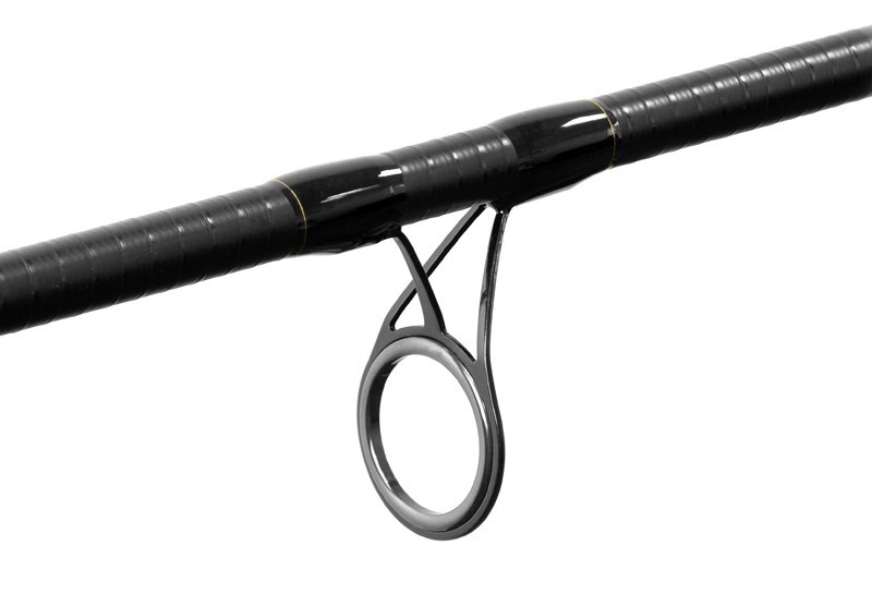 Delphin Prut River Trophy NXT 4 m 200 g + 3 Špičky (3)
